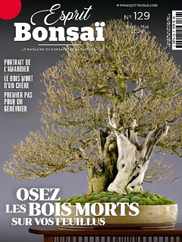 Esprit Bonsai (Digital) Subscription                    April 1st, 2024 Issue