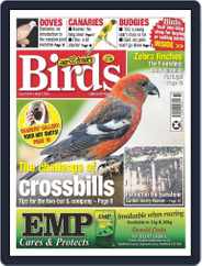 Cage & Aviary Birds (Digital) Subscription                    May 1st, 2024 Issue