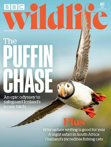 Bbc Wildlife May 1st, 2024 Digital Back Issue Cover