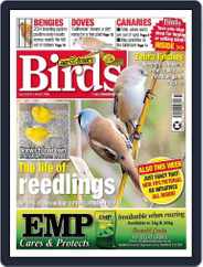 Cage & Aviary Birds (Digital) Subscription                    May 8th, 2024 Issue