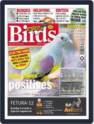 Cage & Aviary Birds (Digital) Subscription                    May 15th, 2024 Issue