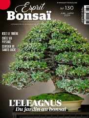 Esprit Bonsai (Digital) Subscription                    June 1st, 2024 Issue