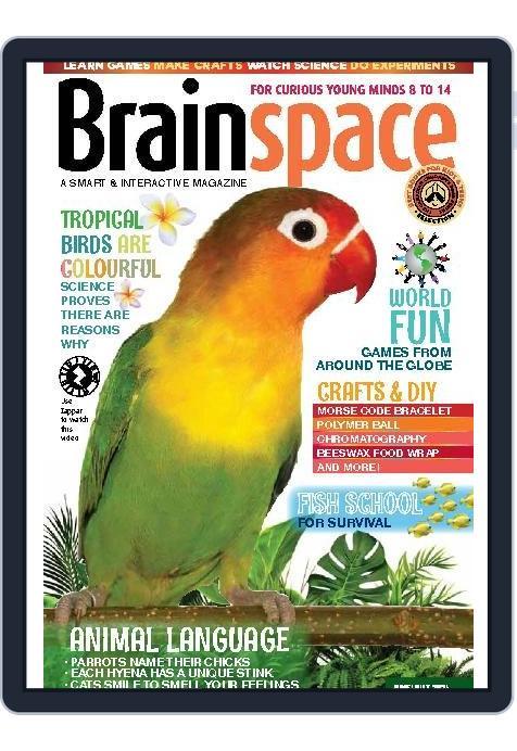 Brainspace (Digital) Subscription                    June 1st, 2024 Issue