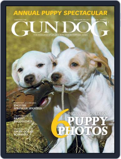 Gun Dog (Digital) March 1st, 2017 Issue Cover