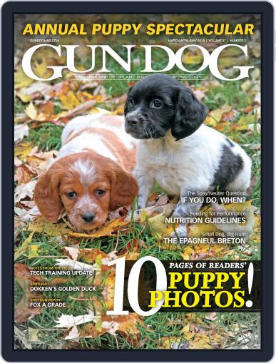 Gun Dog March 1st, 2018 Digital Back Issue Cover