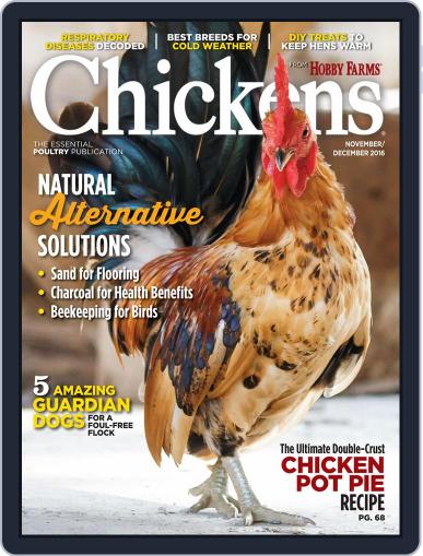 Chickens November 1st, 2016 Digital Back Issue Cover