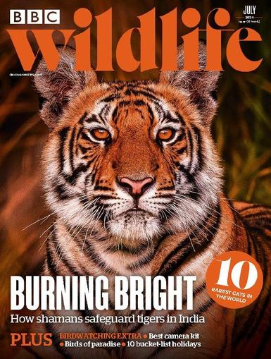 Bbc Wildlife July 1st, 2024 Digital Back Issue Cover