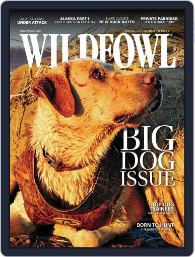 Wildfowl April 1st, 2017 Digital Back Issue Cover