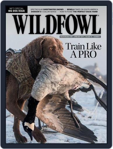 Wildfowl April 1st, 2019 Digital Back Issue Cover
