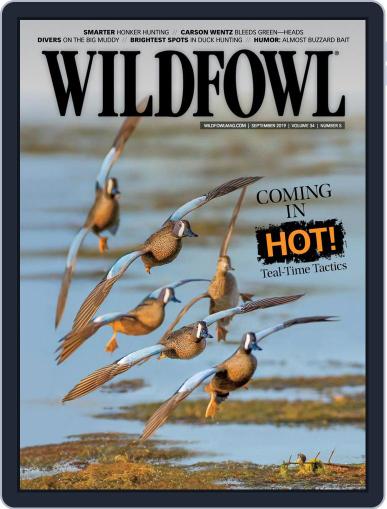 Wildfowl September 1st, 2019 Digital Back Issue Cover
