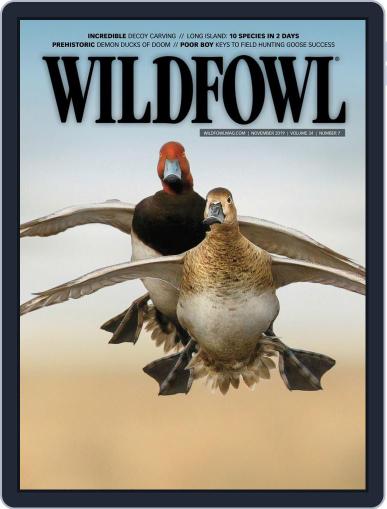 Wildfowl November 1st, 2019 Digital Back Issue Cover