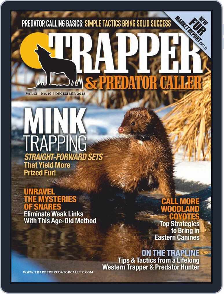 Spring Beaver Trapping TacticsTrapper Predator Caller