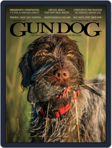 Gun Dog June 1st, 2020 Digital Back Issue Cover