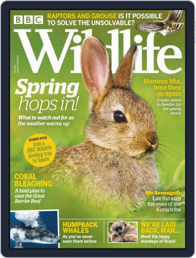 Bbc Wildlife April 1st, 2019 Digital Back Issue Cover