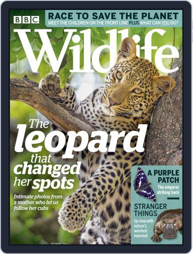 Bbc Wildlife July 1st, 2019 Digital Back Issue Cover