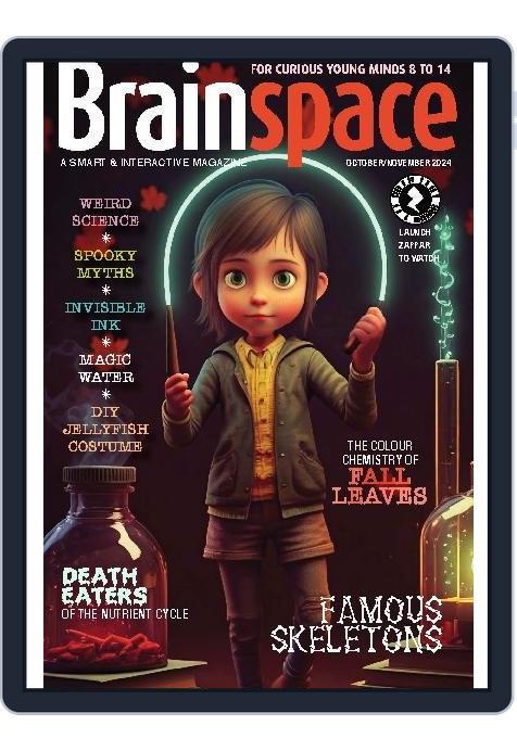 Brainspace (Digital) Subscription                    October 1st, 2024 Issue