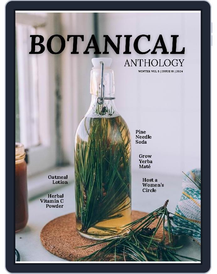 Botanical Anthology (Digital) Subscription                    November 1st, 2024 Issue