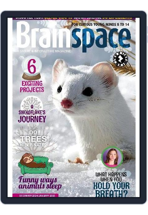 Brainspace (Digital) Subscription                    December 1st, 2024 Issue