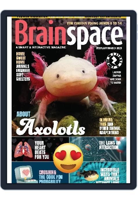 Brainspace (Digital) Subscription                    February 1st, 2025 Issue