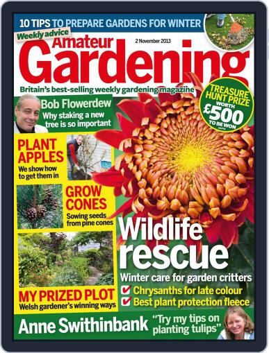 Amateur Gardening October 31st, 2013 Digital Back Issue Cover