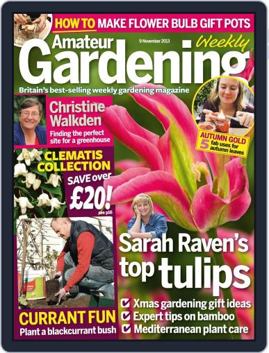 Amateur Gardening November 4th, 2013 Digital Back Issue Cover