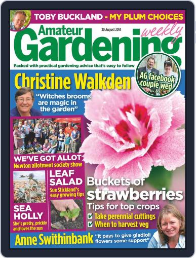 Amateur Gardening August 25th, 2014 Digital Back Issue Cover