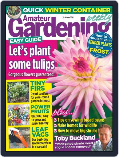 Amateur Gardening October 13th, 2014 Digital Back Issue Cover