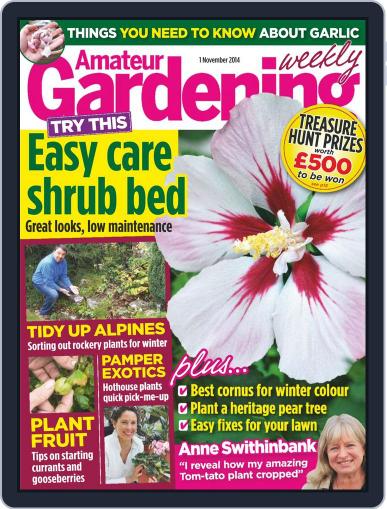 Amateur Gardening October 27th, 2014 Digital Back Issue Cover