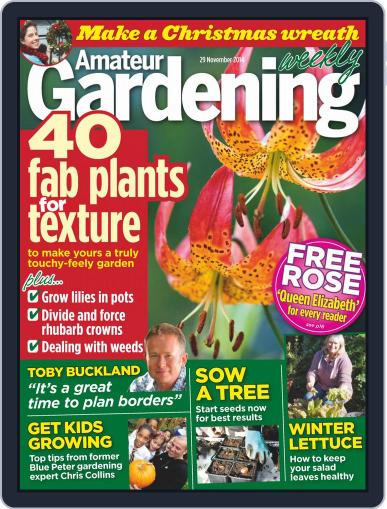 Amateur Gardening November 24th, 2014 Digital Back Issue Cover