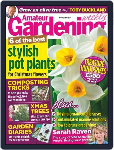 Amateur Gardening December 1st, 2014 Digital Back Issue Cover