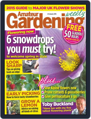 Amateur Gardening January 15th, 2015 Digital Back Issue Cover
