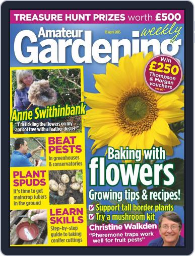 Amateur Gardening April 13th, 2015 Digital Back Issue Cover
