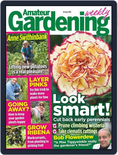 Amateur Gardening July 13th, 2015 Digital Back Issue Cover