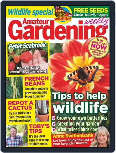 Amateur Gardening August 8th, 2015 Digital Back Issue Cover