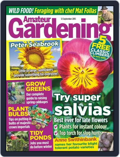Amateur Gardening September 12th, 2015 Digital Back Issue Cover
