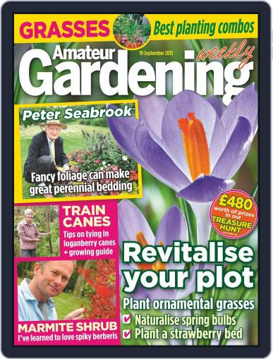 Amateur Gardening September 19th, 2015 Digital Back Issue Cover