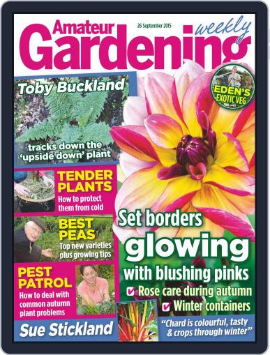 Amateur Gardening September 26th, 2015 Digital Back Issue Cover