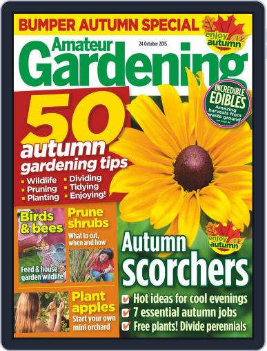 Amateur Gardening October 24th, 2015 Digital Back Issue Cover