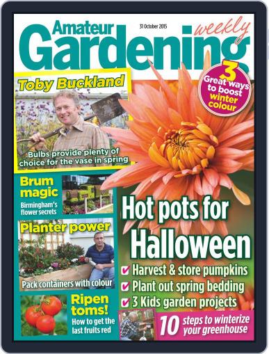 Amateur Gardening October 31st, 2015 Digital Back Issue Cover