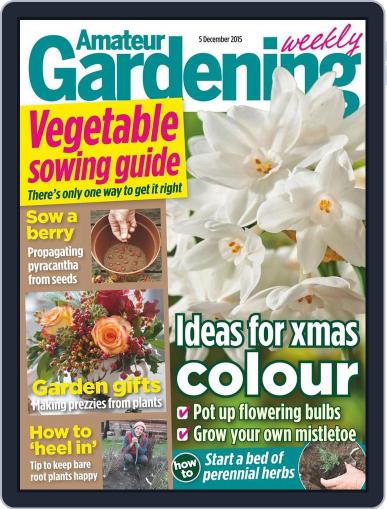 Amateur Gardening December 1st, 2015 Digital Back Issue Cover
