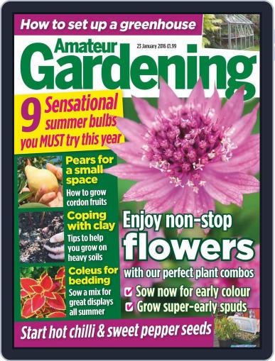 Amateur Gardening January 19th, 2016 Digital Back Issue Cover