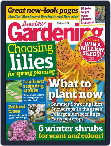 Amateur Gardening February 2nd, 2016 Digital Back Issue Cover