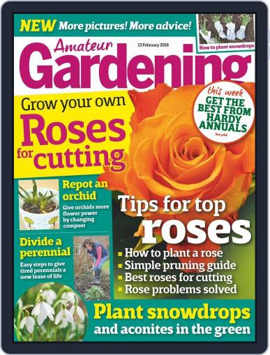 Amateur Gardening February 9th, 2016 Digital Back Issue Cover