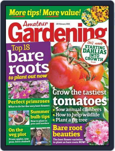 Amateur Gardening February 16th, 2016 Digital Back Issue Cover