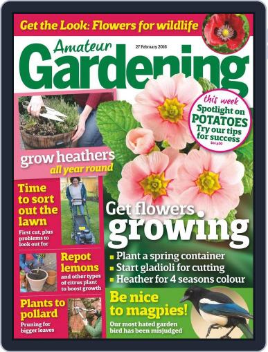 Amateur Gardening February 23rd, 2016 Digital Back Issue Cover