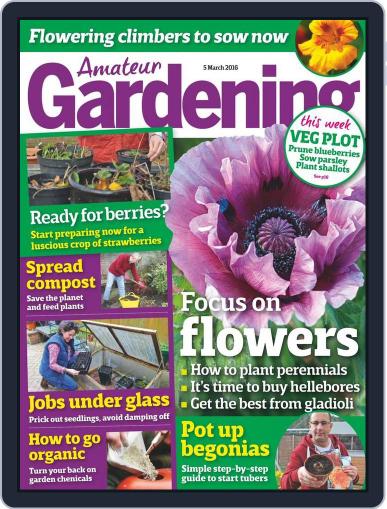 Amateur Gardening March 1st, 2016 Digital Back Issue Cover
