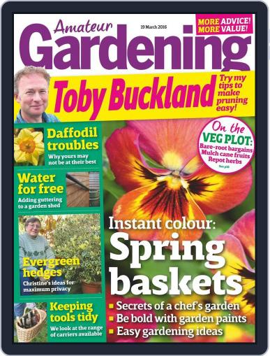 Amateur Gardening March 15th, 2016 Digital Back Issue Cover