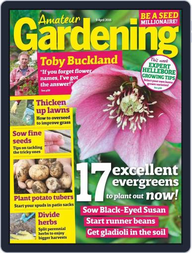 Amateur Gardening April 5th, 2016 Digital Back Issue Cover