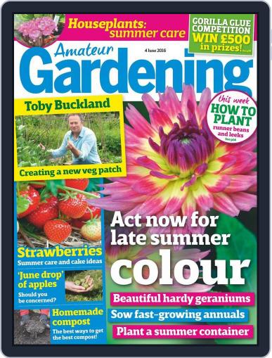 Amateur Gardening May 31st, 2016 Digital Back Issue Cover