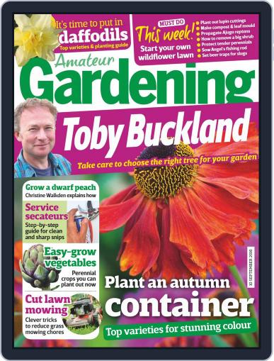 Amateur Gardening September 10th, 2016 Digital Back Issue Cover
